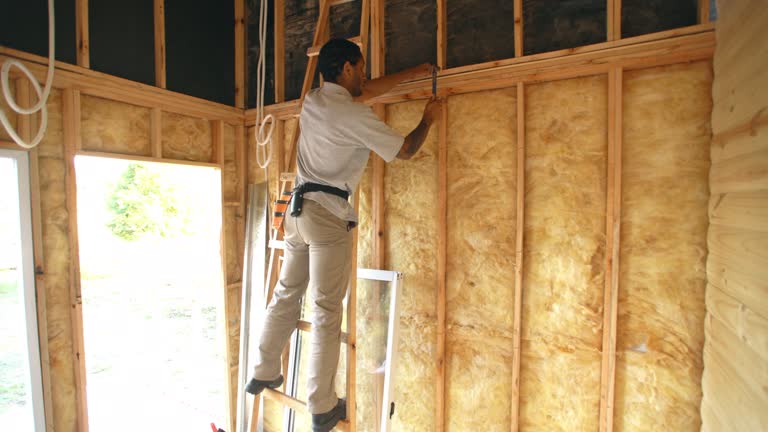 Types of Insulation We Offer in Howey In The Hills, FL